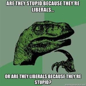 stupid-liberals-111816949022