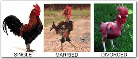 55ca58bf3369561a5672e8704bea8844