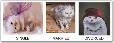 ae8f360d50ea506903c107bcb0858ac0