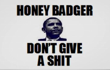 obamabadger