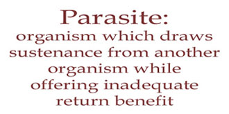 parasite-2