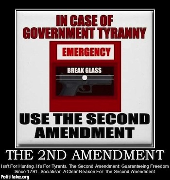 the-2nd-amendment-obama-politics-1345293827