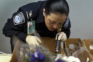 Customs And Border Agents Inspect Valentine's Day Flowers Coming Into US