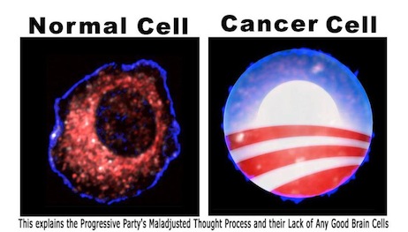 525956_401555719877871_397030280330415_1277267_1784718791_n