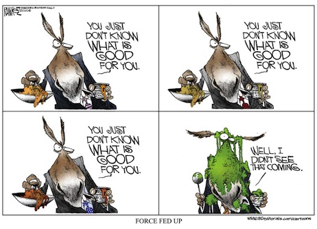 ISStoonIBW1029.jpg.cms