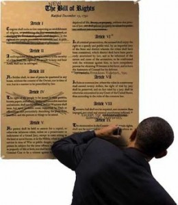 Obama-Constitution