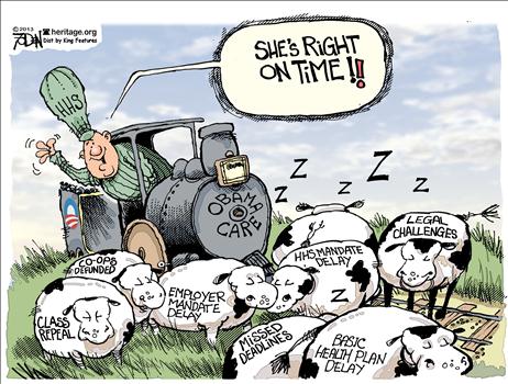 Herit-July17-Delay of Ocare20130717114054