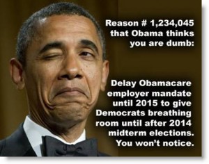 obamacare-delay-until-after2014-elections-thinks-youre-dumb