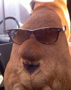 7bdfec8d-dd12-43d1-8fd6-16b4d1199205